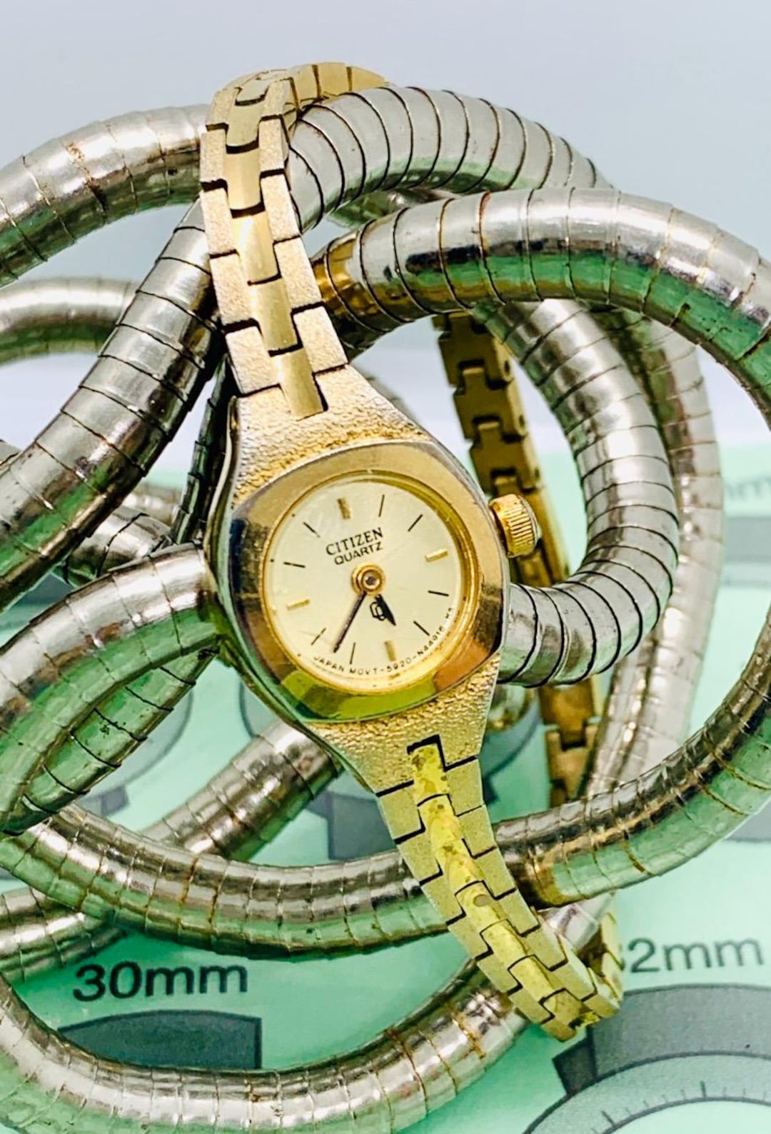 Citizen Women's Retro Quartz Dress Watch 5920-S49585 Gold Tone