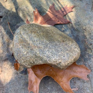 May include: A smooth, gray rock with speckled texture rests on a surface with two brown autumn leaves. The rock is a light gray color with darker gray and tan speckles. The leaves are a deep brown color.