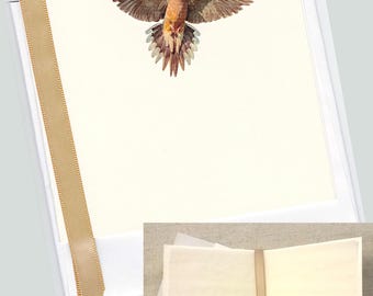 Mourning Dove Bird Card Handmade Set of 5 Watercolor Note Cards Artisan Stationery Gift