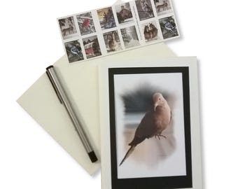 Mourning Dove Bird Card Handmade Set of 5 Note Cards Artisan Stationery Gift And Frameable Art