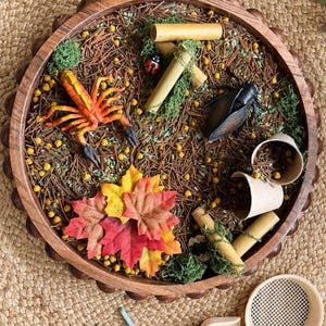 May include: A round wooden tray filled with brown pine needles, yellow chickpeas, and green moss. It contains an orange scorpion figure, a black beetle, a ladybug, bamboo segments, paper tubes, and colourful fabric maple leaves for sensory play.