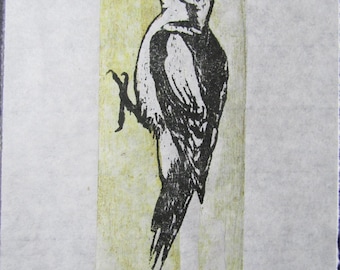 Downy Woodpecker Bird woodcut Woodblock print Engraving Moku Hanga Japanese Washi signed Clark
