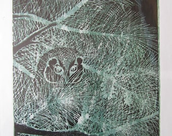 Night Owl Bird shadow Original hand carved woodblock print Moku Hanga Japanese washi paper signed Clark