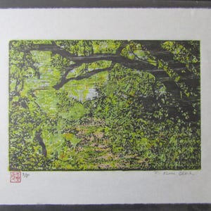 original woodblock print Japanese Moku Hanga Forest Path Trail Vine Maple Trees signed Kevin Clark