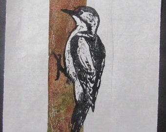 Acorn Woodpecker Bird Woodblock print Engraving Moku Hanga Japanese Washi signed Clark