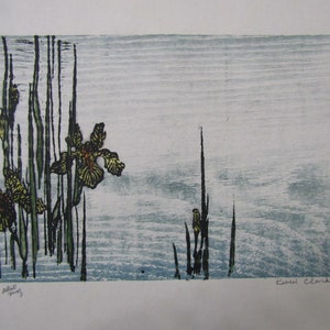 Wild Yellow Iris water Pool  Original hand carved woodblock print Moku Hanga Japanese washi paper signed artist proof