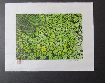 Fern Clover Oxalis forest floor hand carved woodcut woodblock print Japanese moku hanga signed Clark grabado