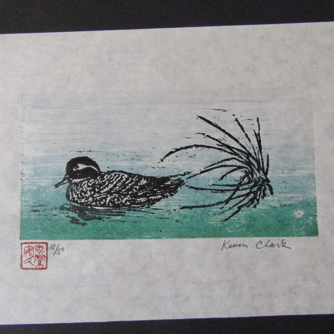 Duck Pond Grass Hand Carved Woodcut Woodblock Print Japanese Moku