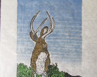 American Jackalope rabbit antelope Woodblock print woodcut Moku Hanga Japanese Washi signed Clark