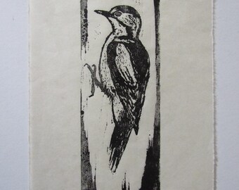 May include: A monochrome woodcut print featuring a woodpecker on a tree. The bird is shown in profile, with detailed plumage and a long beak. The print is rectangular and includes the artist's signature and a red stamp.