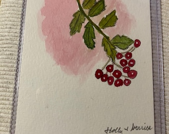 Dipinto originale ad acquerello "Agrifoglio e bacche" 4x6