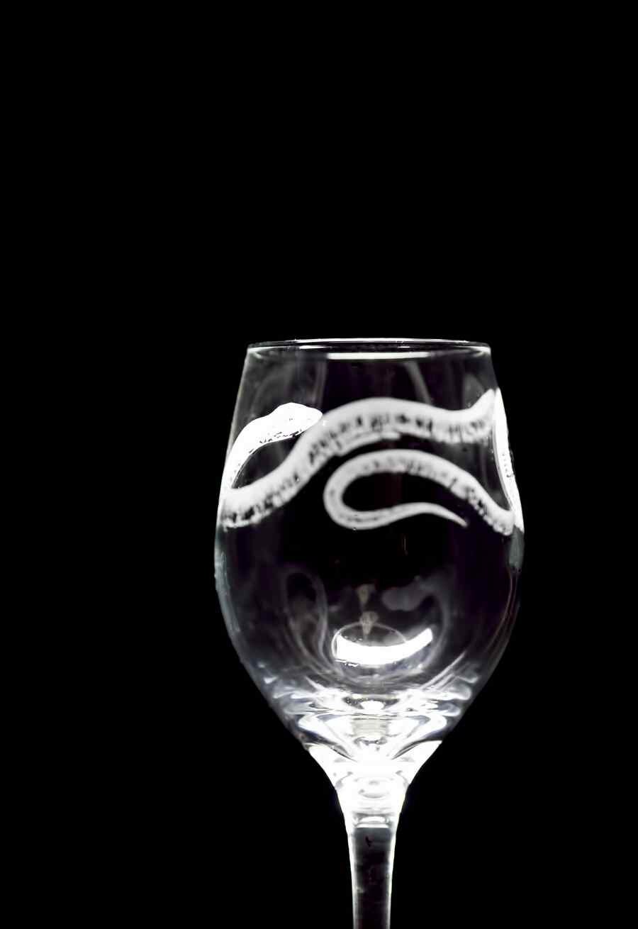 Etched Wine Glasses / Set of two Snake S2 Etsy