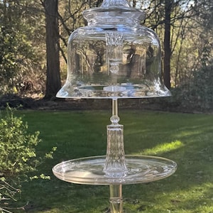Puede incluir: Un comedero para pájaros de vidrio transparente con una parte superior en forma de cúpula, una bandeja circular y una base de pedestal. El comedero está suspendido de un gancho y una cadena de metal. El fondo presenta hierba verde y árboles.