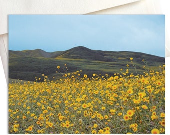 Ashford Mill – Death Valley Wildflowers Note Cards (Box of 8)