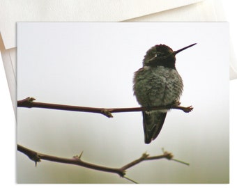 Hummingbird Note Cards | Nature Photography | Bird Photography | Desert Cards | Death Valley | California