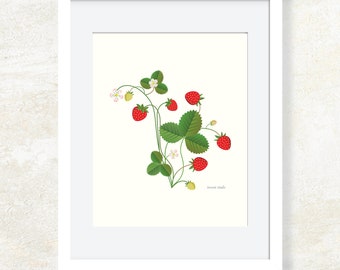 Strawberry Art Print * Kitchen Wall Art * Strawberry Illustration *  Fruit Print * Wall Decor * Fruit Illustration *Strawberry Botanical