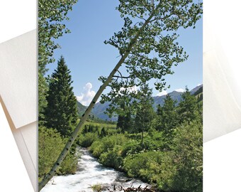 Leaning Tree – Aspen Brook Note Cards (Box of 8)