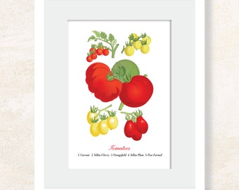 5x7 Giclée Art Print : Heirloom Tomatoes | Botanical Art Heirloom Tomatoes | Kitchen Art | Kitchen Print | Fruits and Vegetables