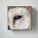 see more listings in the Eye See You 6x6 section