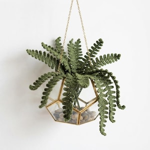 Può includere: Un terrario geometrico sospeso in vetro con cornice in metallo dorato, appeso a una catenella dorata. All'interno si trovano ciottoli grigi lisci e una felce all'uncinetto con molteplici fronde testurizzate di colore verde oliva.
