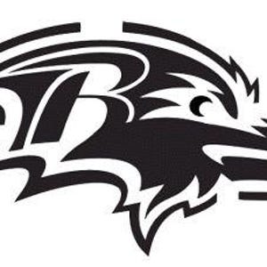 May include: A black and white graphic illustration of a raven head in profile, featuring a stylized letter B integrated into the bird's crest. The design uses bold, sharp lines to define the eye, beak, and feathers, creating a high-contrast logo.