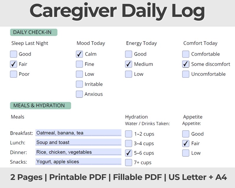 Caregiver Daily Log Printable PDF, Caregiver Log, Medication Tracker ...