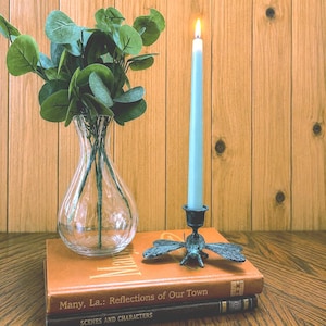 May include: A lit, pale blue taper candle in a dragonfly-shaped holder sits atop a stack of books. A clear glass vase with green stems and leaves is to the left. The books are titled "Many, La.: Reflections of Our Town" and "Scenes and Characters."