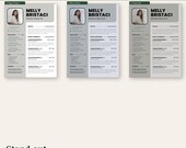Professional CV Template Printable PDF | Resume Template Canva | 3 Color Variants | 2-Column Layout | Instant Download
