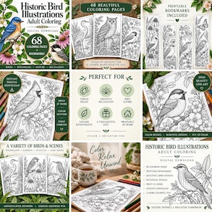 Peut inclure: Un livre de coloriage numérique intitulé Historic Bird Illustrations Adult Coloring comprenant 68 pages de dessins au trait en noir et blanc d'oiseaux et de plantes, incluant des marque-pages imprimables et des illustrations d'oiseaux.
