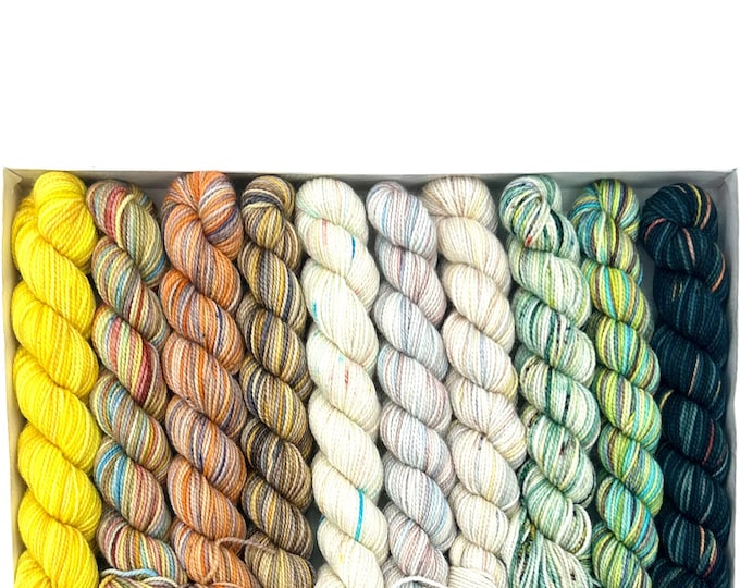 Koigu KPPPM pencil box, Galliano, fingering weight yarn