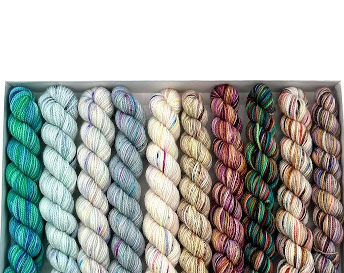 Koigu KPPM pencil box, Celebrate, fingering weight yarn