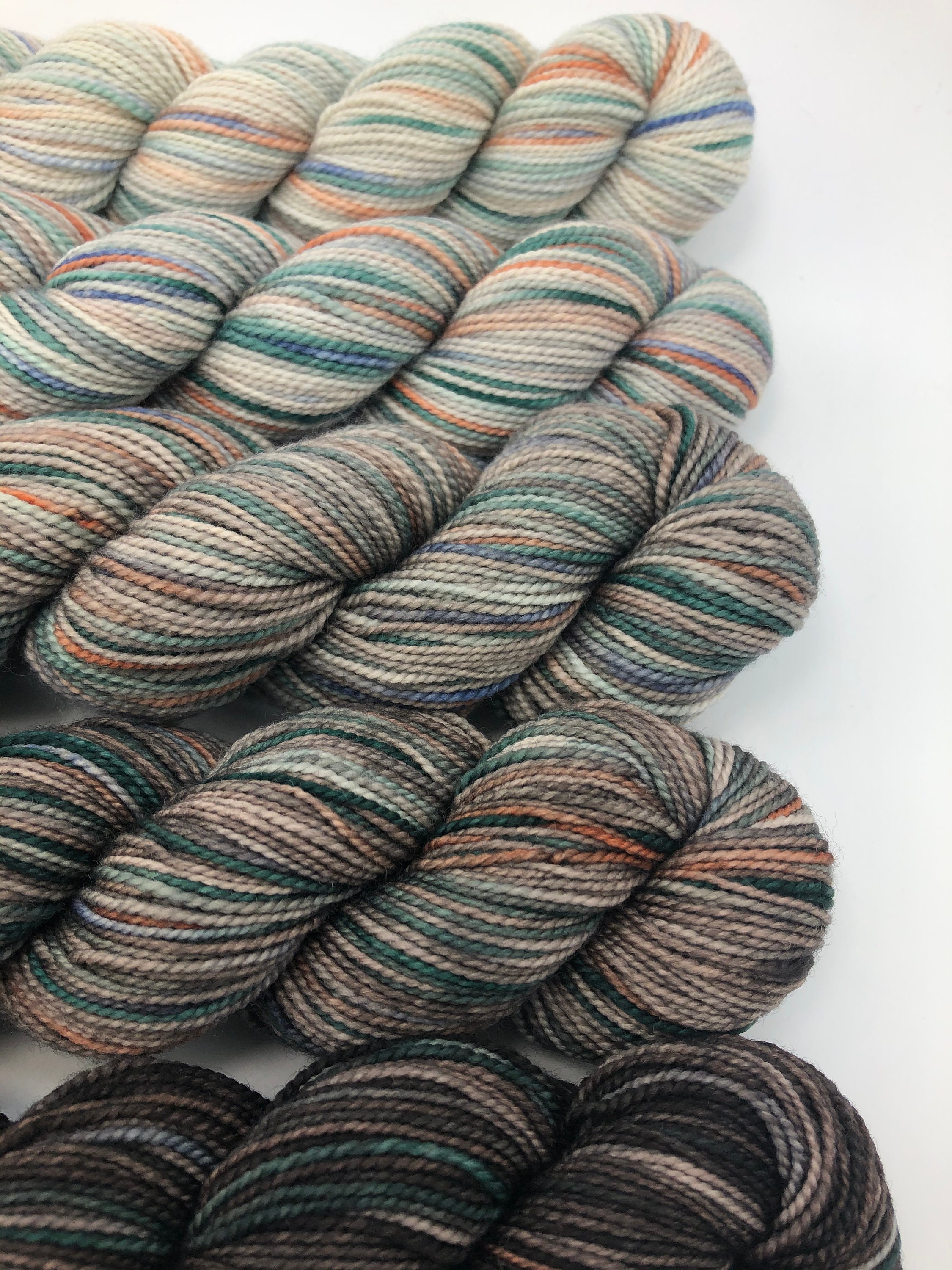 Koigu Yarns Merino Gradient Family Pack, Brown Family, KPPPM, Fingering