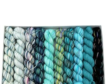 Koigu KPPM pencil box, Brunswick, fingering weight yarn