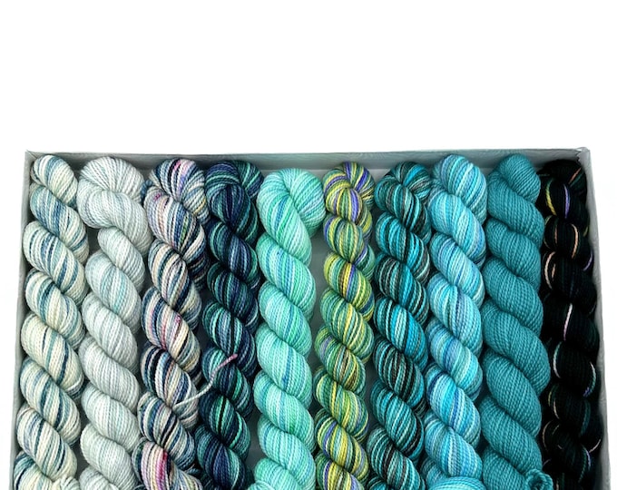 Koigu KPPM pencil box, Brunswick, fingering weight yarn