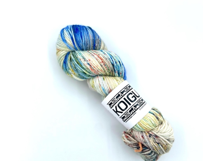 Koigu Winnie Variegated Yarn,  Extra-fine Sport weight Merino Wool, midsummer