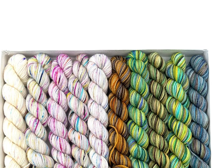 Koigu KPPM pencil box, Sweet pea, fingering weight yarn