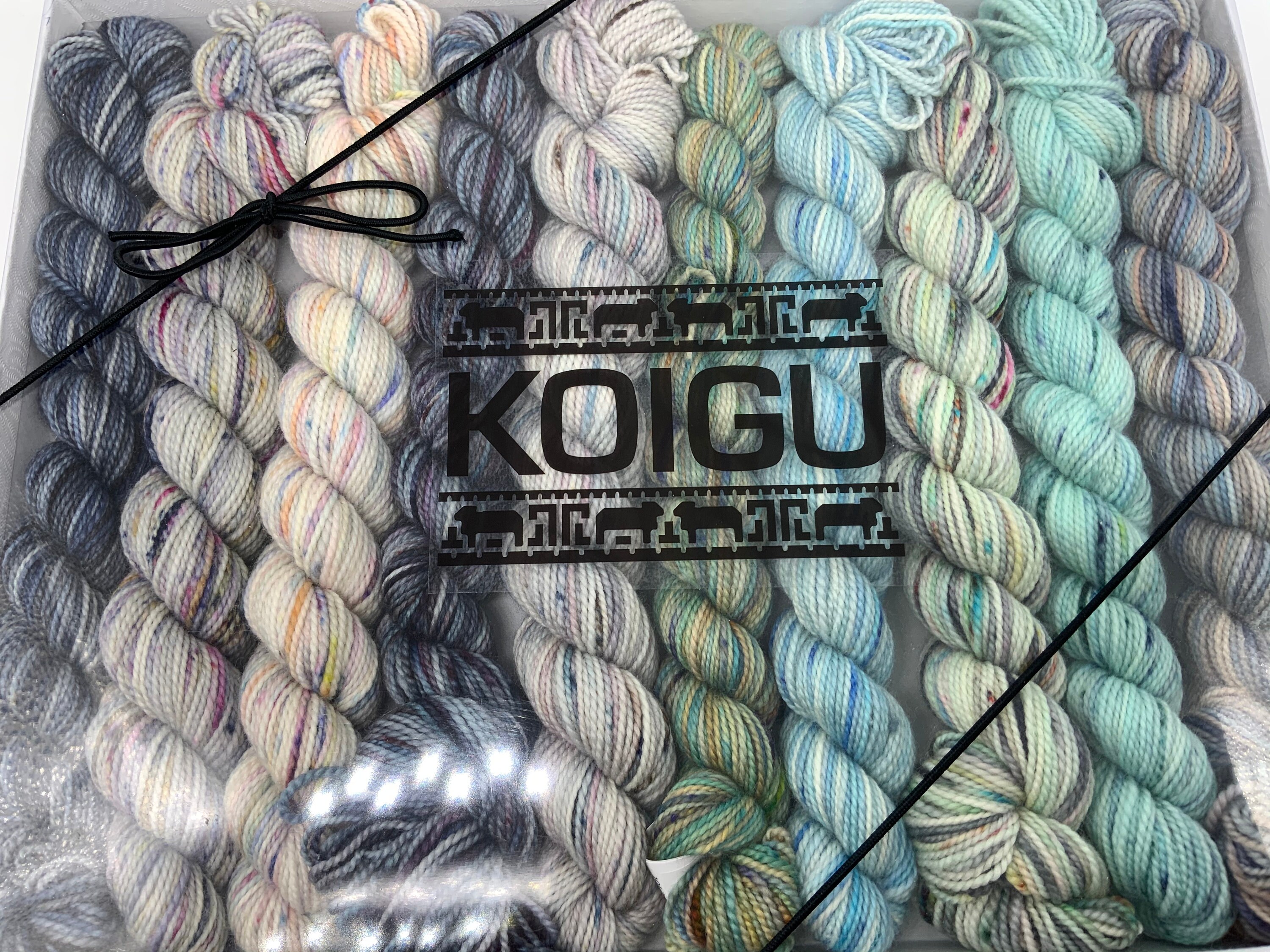 Koigu KPPM pencil box, Winter Storm, fingering weight yarn