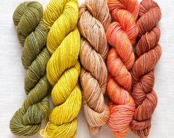 Manos del Uruguay Fino mini skein kit, Bernadette, merino and silk