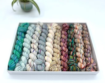 Koigu KPPM pencil box, Celebrate, fingering weight yarn