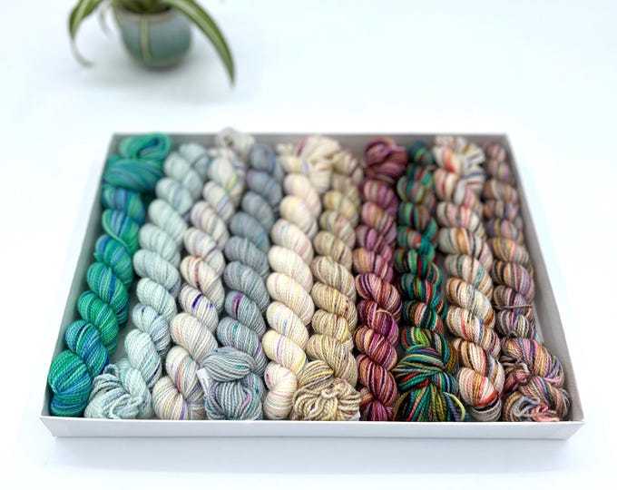 Koigu KPPM pencil box, Celebrate, fingering weight yarn