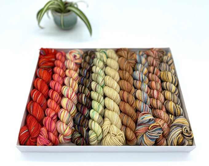 Koigu KPPM pencil box, Cider and Spice, fingering weight yarn