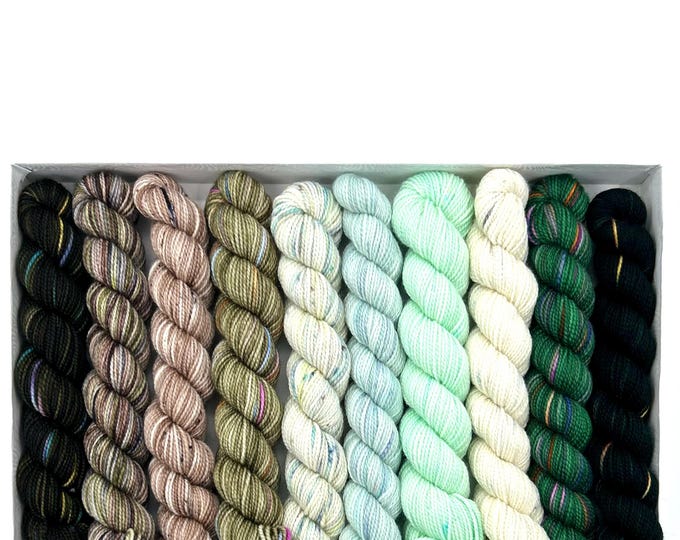 Koigu KPPM pencil box, snowy pines, fingering weight yarn