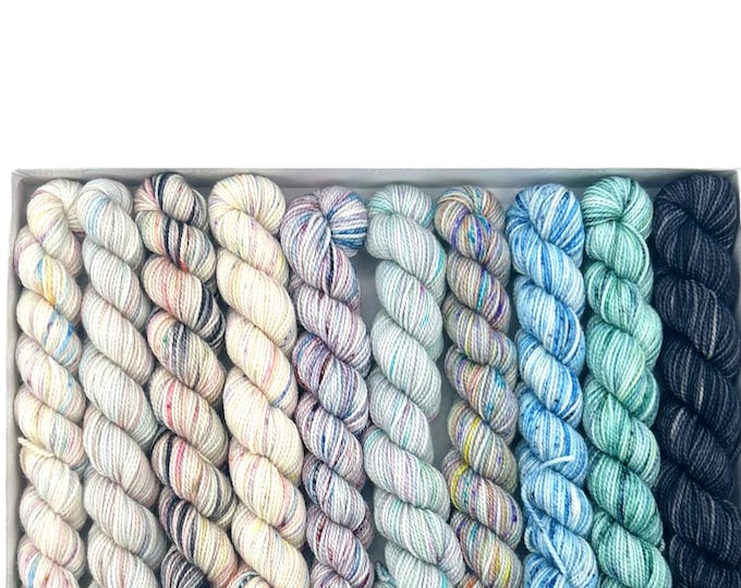 Koigu KPPPM pencil box, Winter Storm, fingering weight yarn