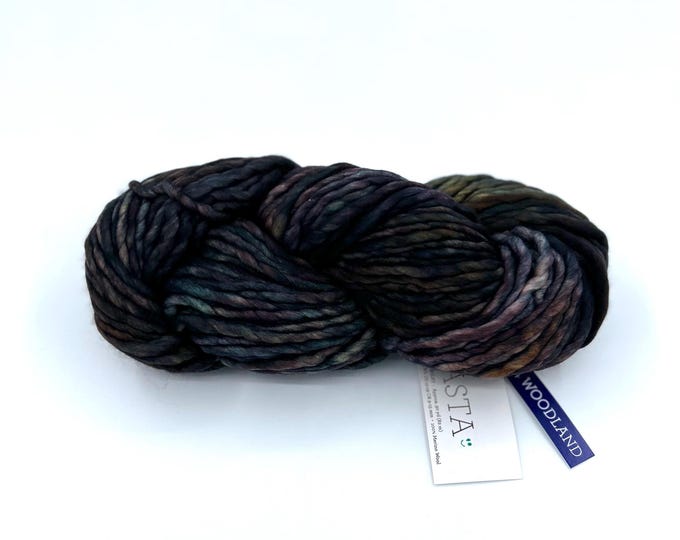 Malabrigo Rasta Yarn, **NEW COLOR**, Super Bulky, 100% Merino Wool, 304 Woodland from the Madre Tierra Collection
