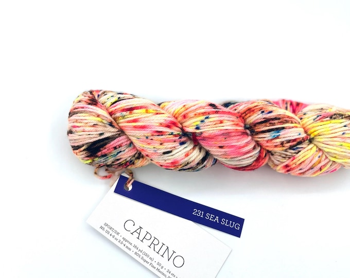 Malabrigo Caprino Sea Slug Yarn - Merino Cashmere Sport DK - Hand Dyed Cream pink orange yellow blue  50g 164 yds