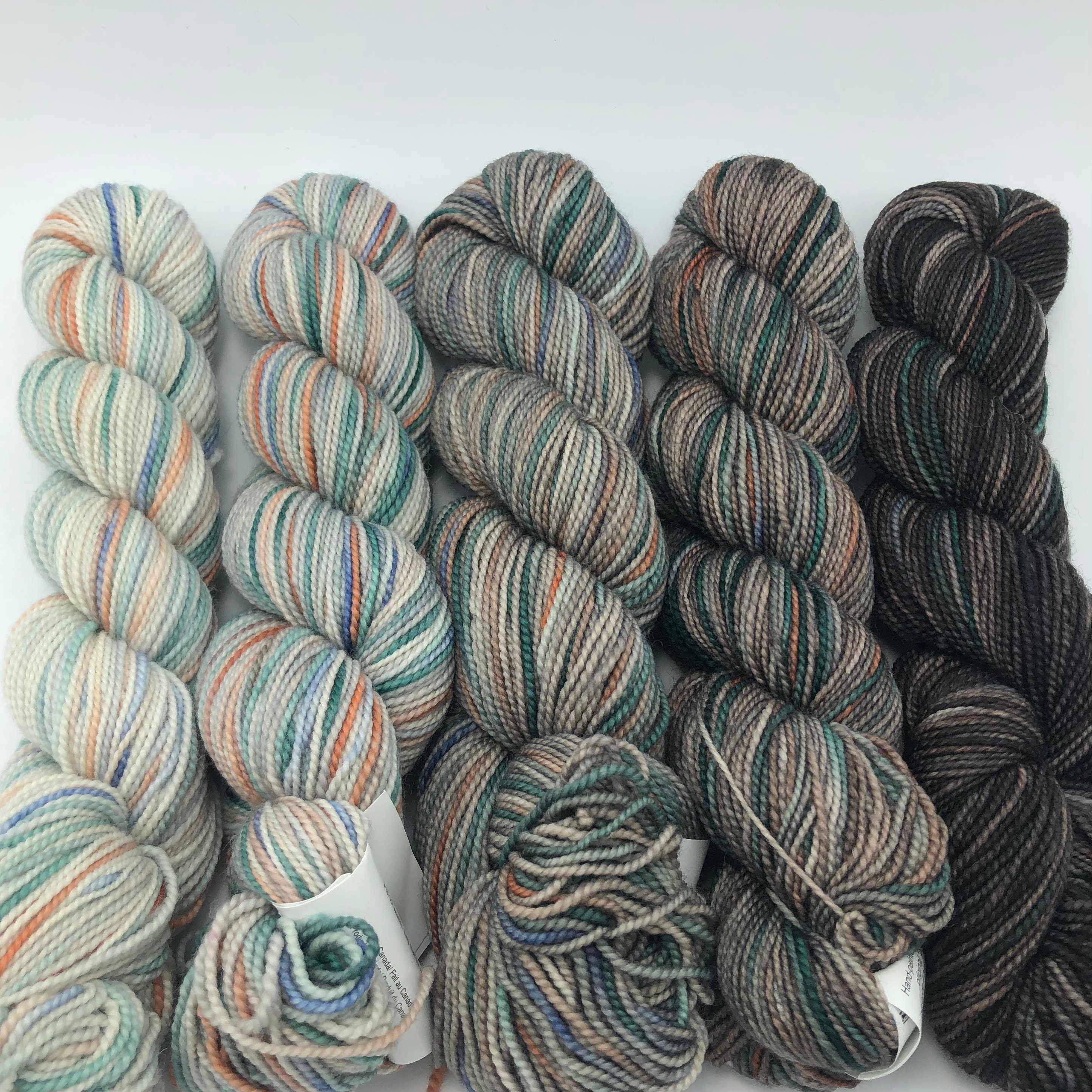 Koigu Yarns Merino Gradient Family Pack, Brown Family, KPPPM, Fingering