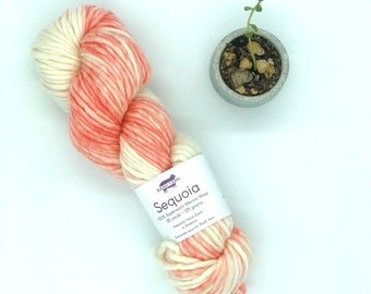 Baah Yarn Sequoia, Super Bulky, 100%  Merino Wool, Single Ply, Seashell, Superwash