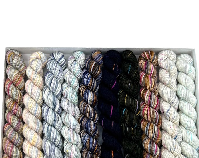 Koigu KPPM pencil box, Winter Forest, fingering weight yarn