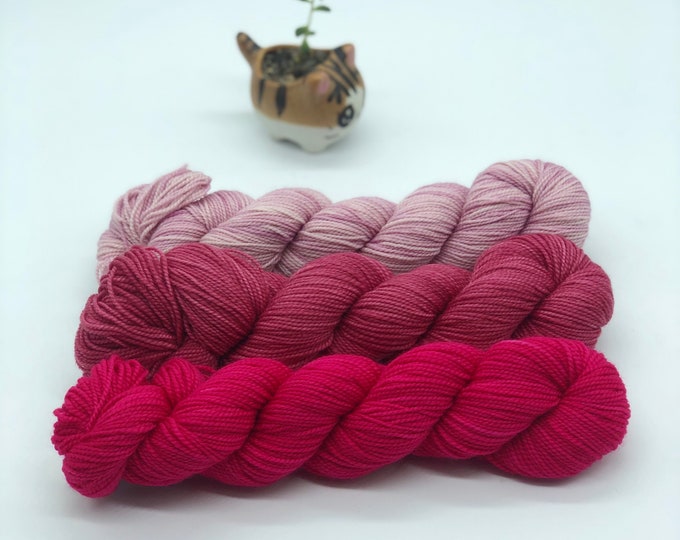 Koigu KPM pink fade set, fingering weight yarn, pink merino wool yarn