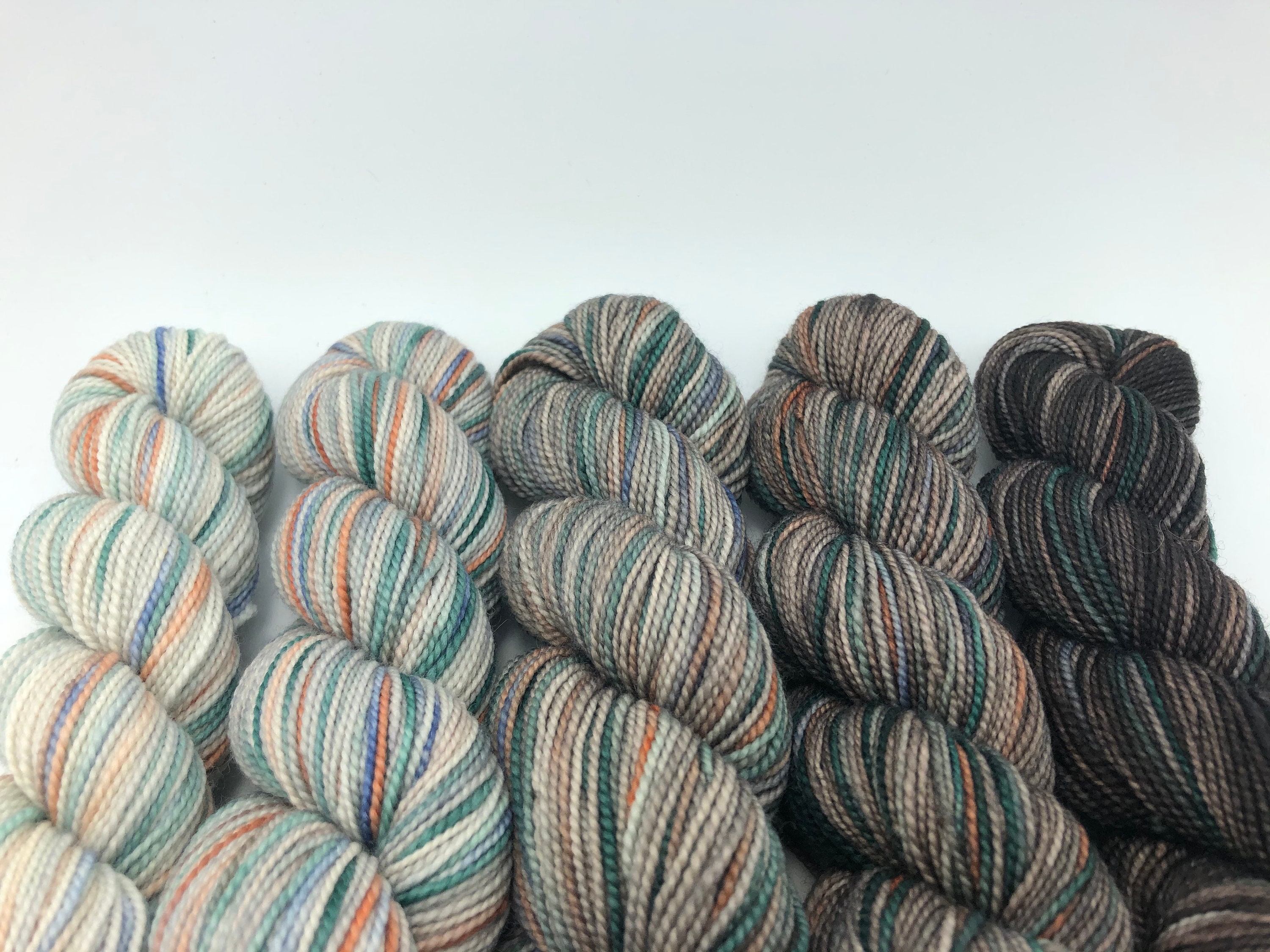 Koigu Yarns Merino Gradient Family Pack, Brown Family, KPPPM, Fingering